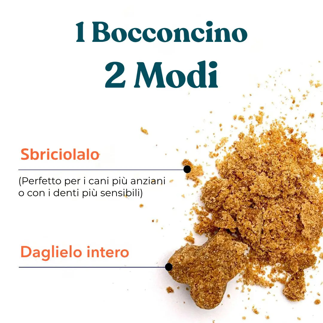 Soluzione Prurito integropet
