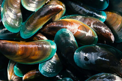 Cozze dalle labbra verdi