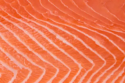 dettaglio trancio salmone
