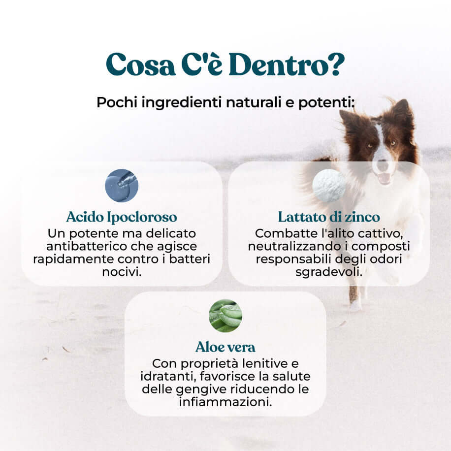 Integropet Dental Fresh ingredienti