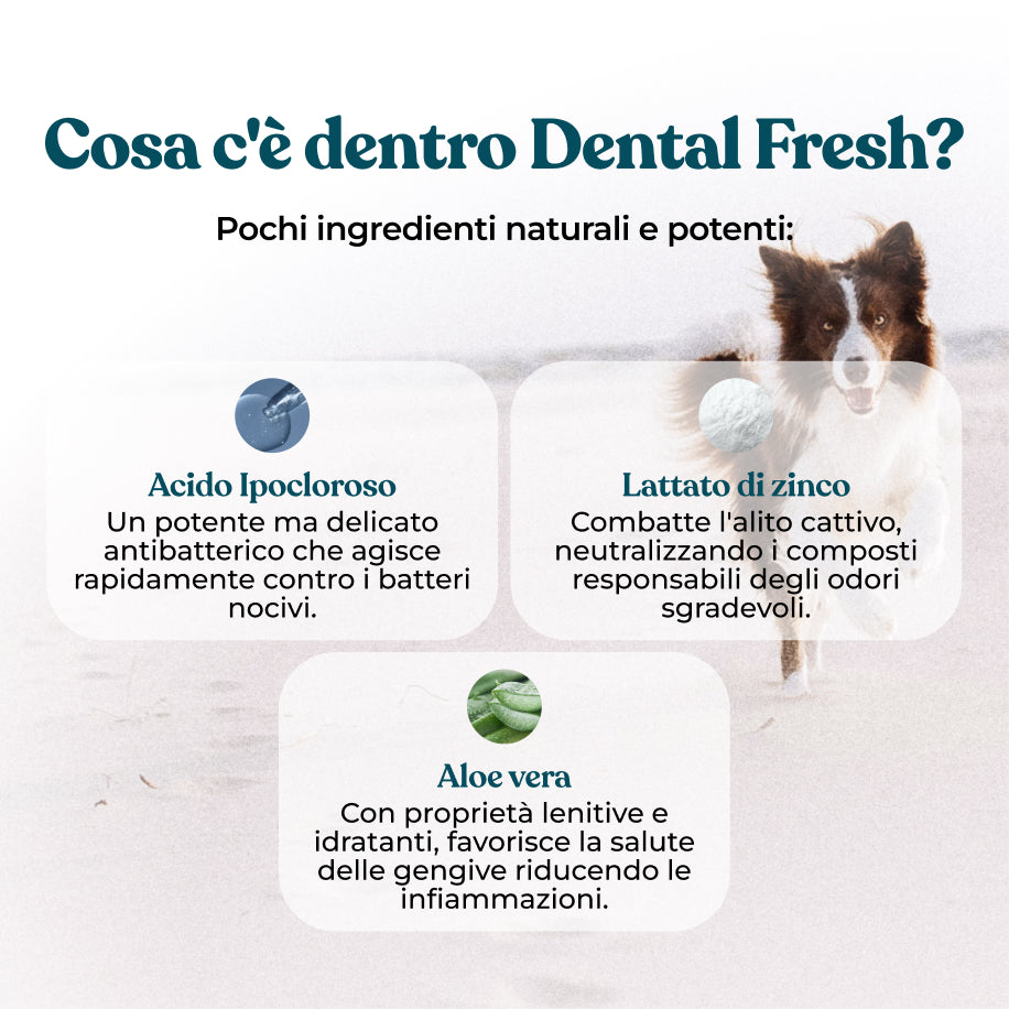 Kit Salute Dentale Avanzata