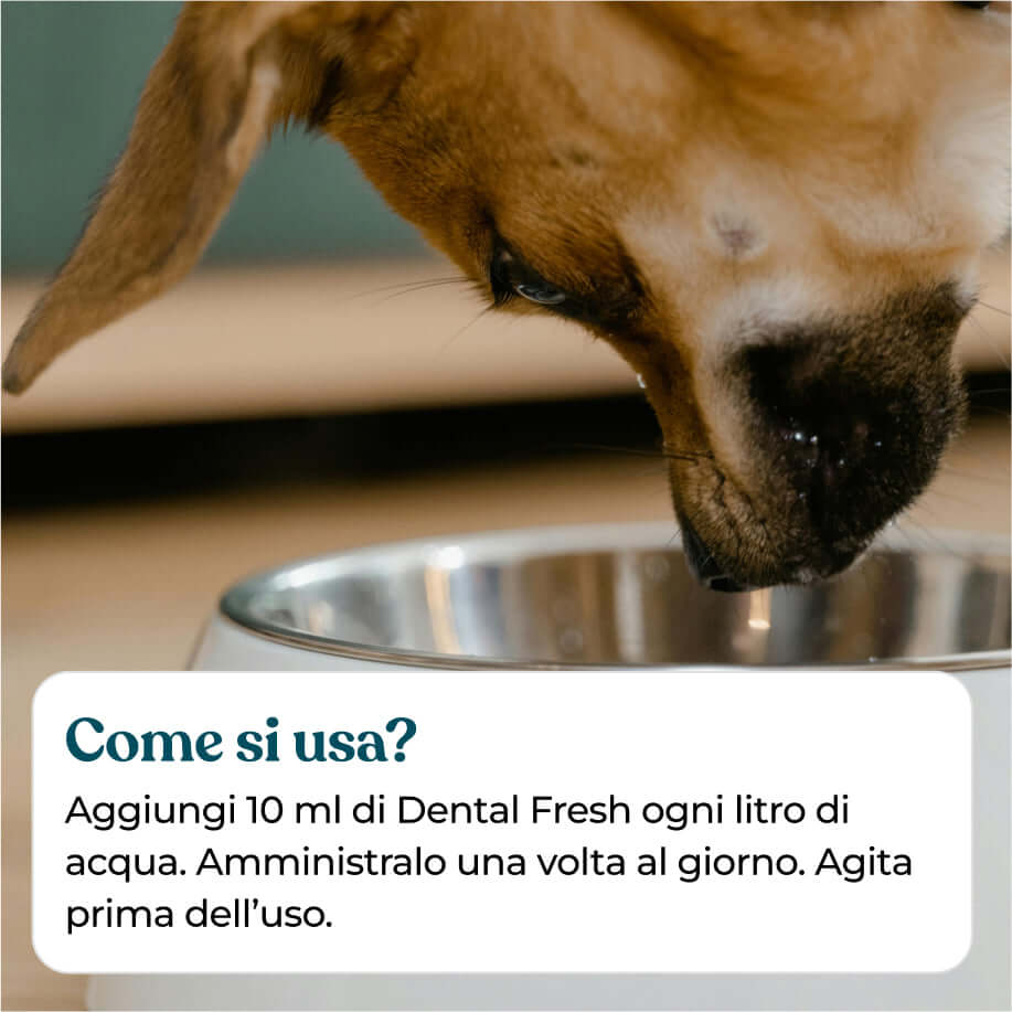Integropet Dental Fresh come si usa