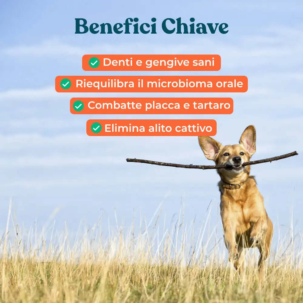 Denti & Gengive IntegroPet benefici
