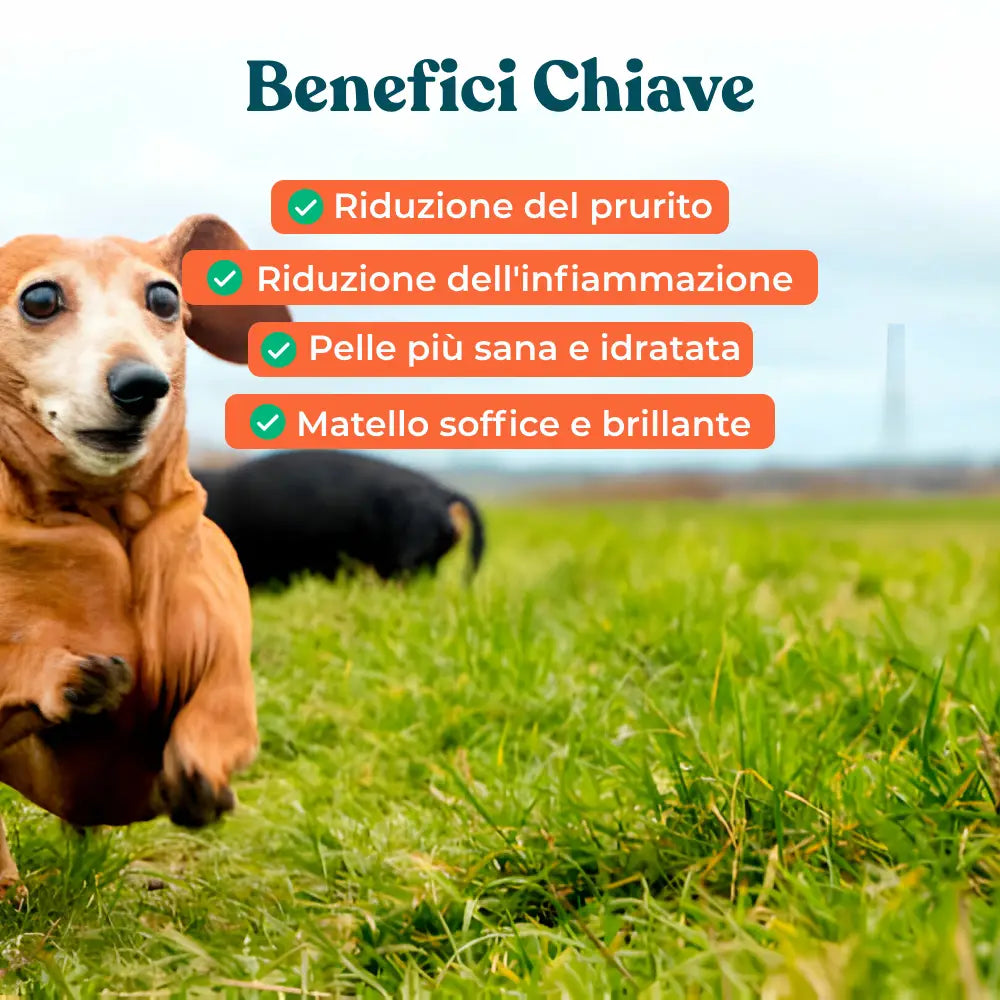Soluzione Prurito integropet