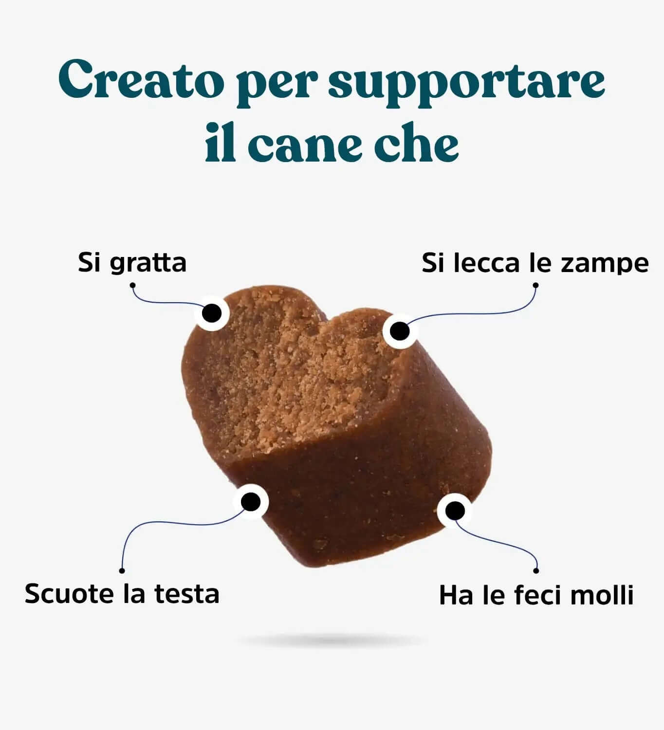Probiotico Digestivo integropet creato per supportare