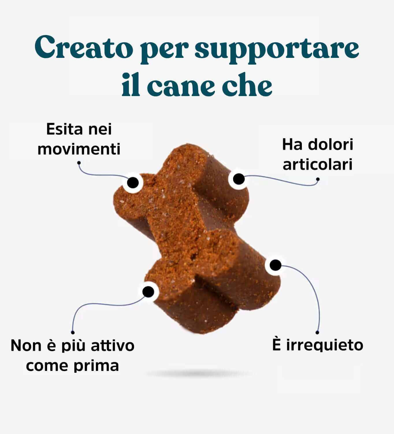 Integropet Ossa & Articolazioni supporto al cane