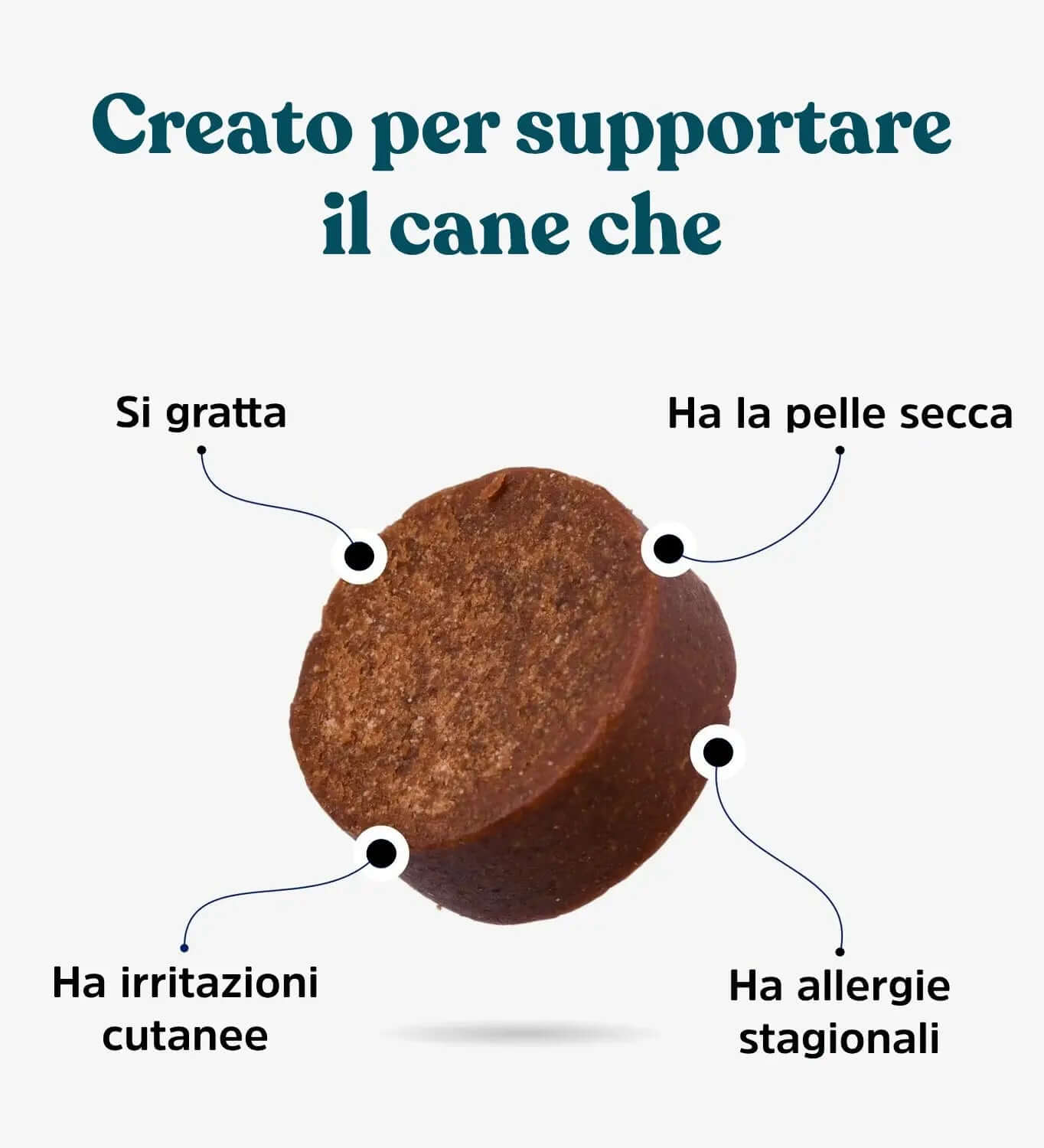 Soluzione Prurito integropet supporto del cane