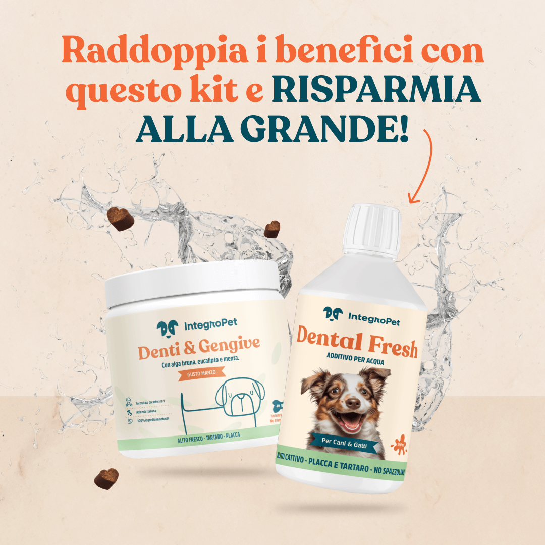 kit denti cane integropet in offerta
