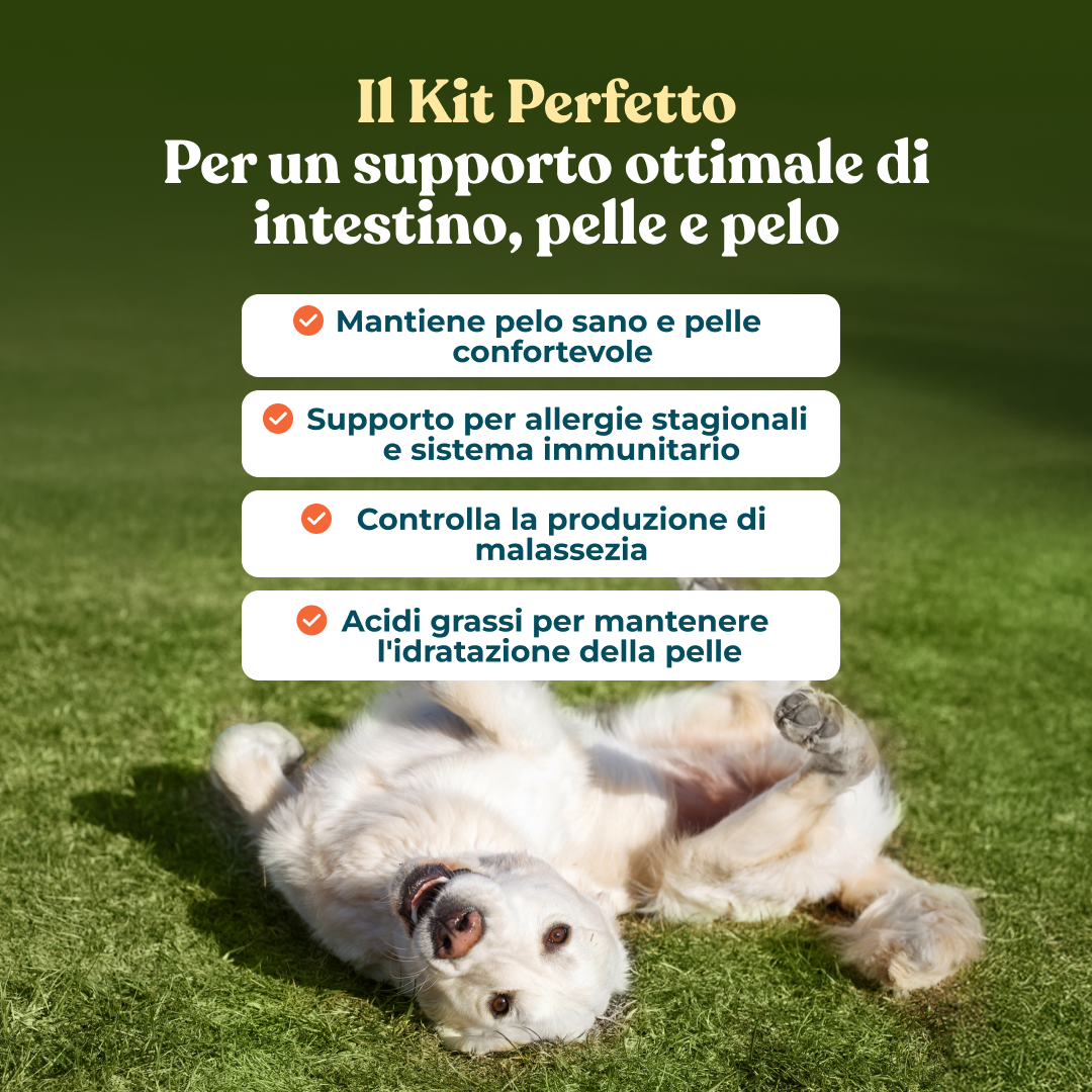 Kit Zero-Prurito