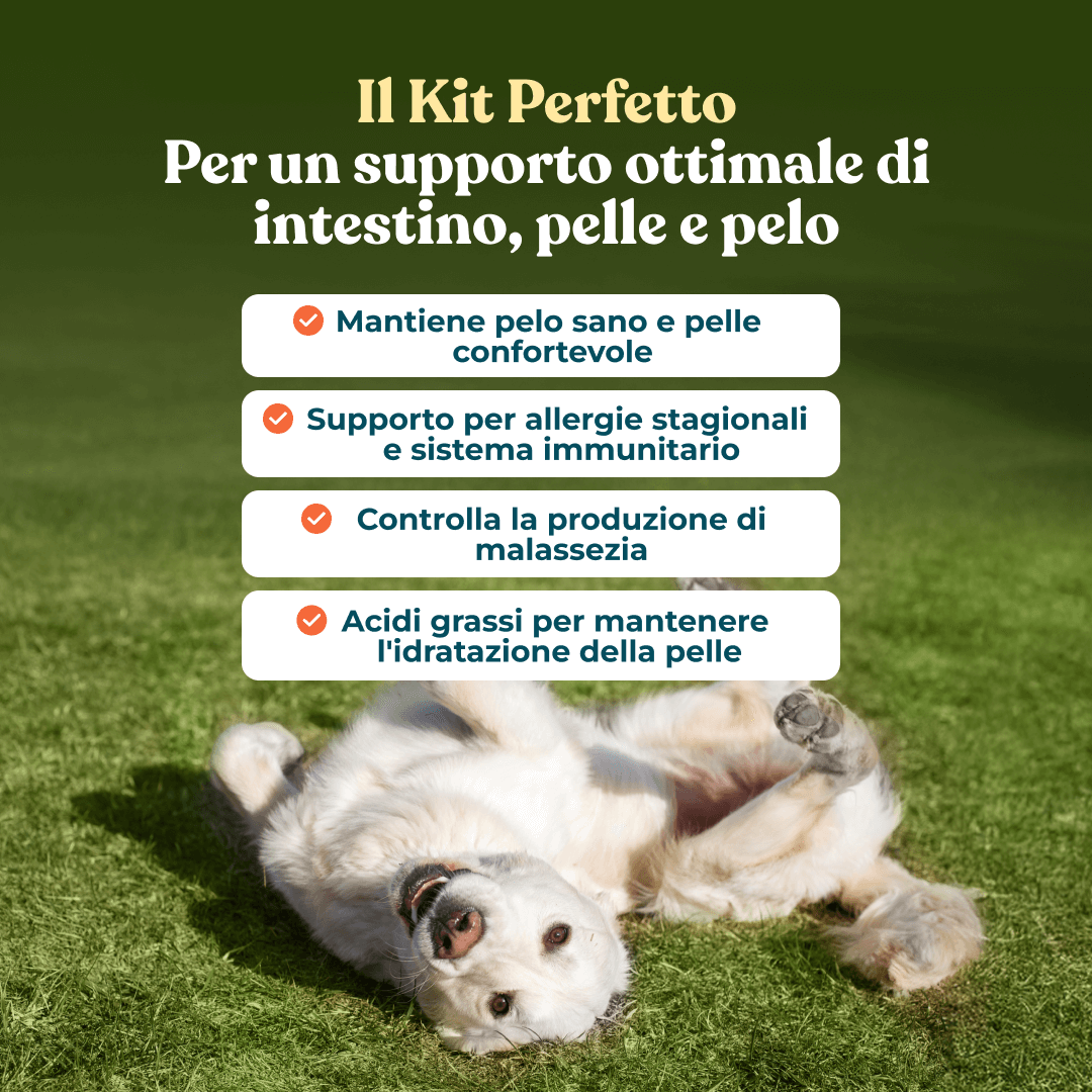 kit perfetto per il supporto ottimale di intestino, pelo e pelle del tuo cane 2