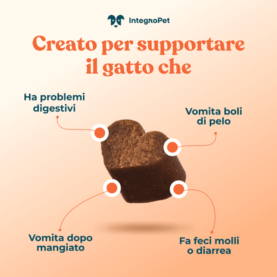probiotico digestivo gatto - quali problemi risolve