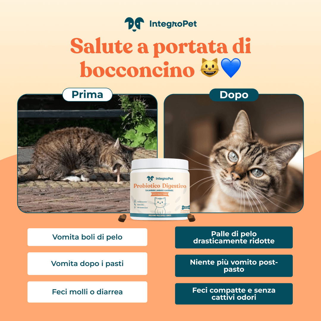 probiotico digestivo gatto prima e dopo