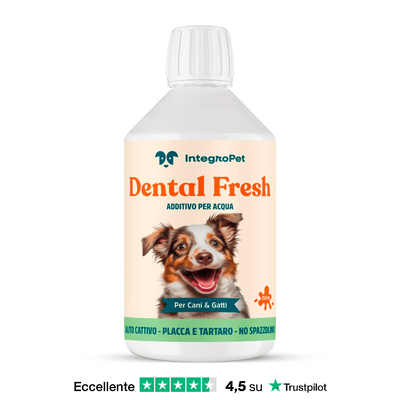 Dental Fresh