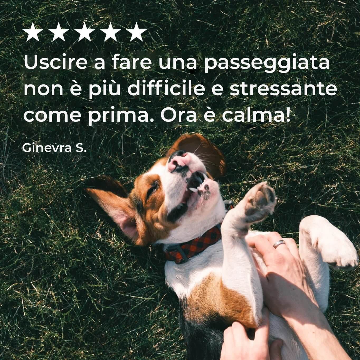 integropet calma & serenità recensione 5 stelle Ginevra S.