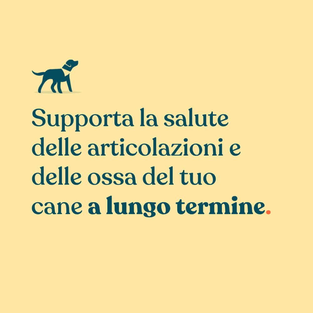 supporta la salute delle articolazioni e delle ossa del tuo cane a lungo termine