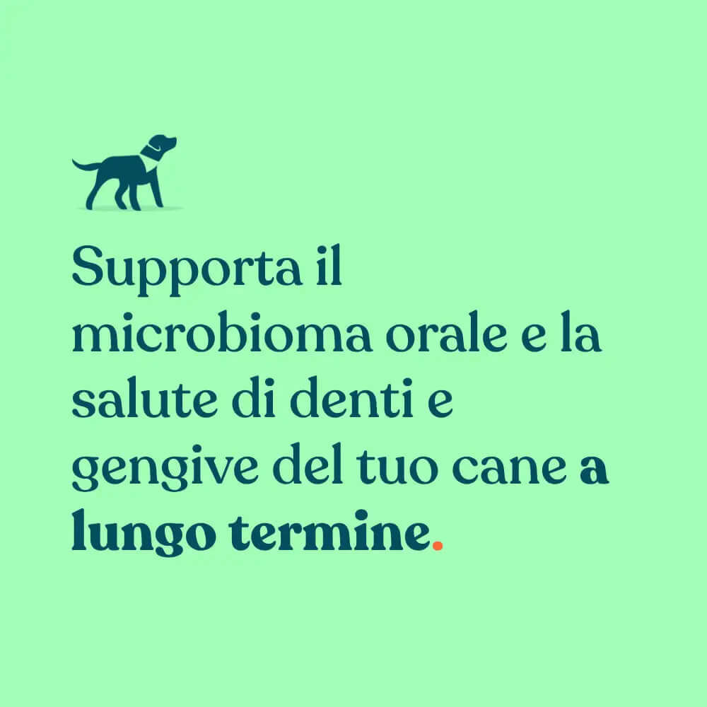 Denti & Gengive IntegroPet supporta il microbioma orale e la salute di denti e gengive del tuo cane a lungo termine