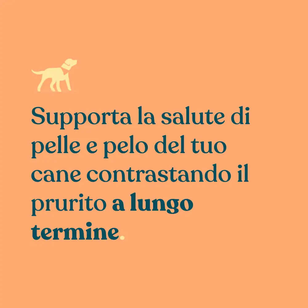 supporta la salute di pelle e pelo del tuo cane contrastando a lungo termine il prurito