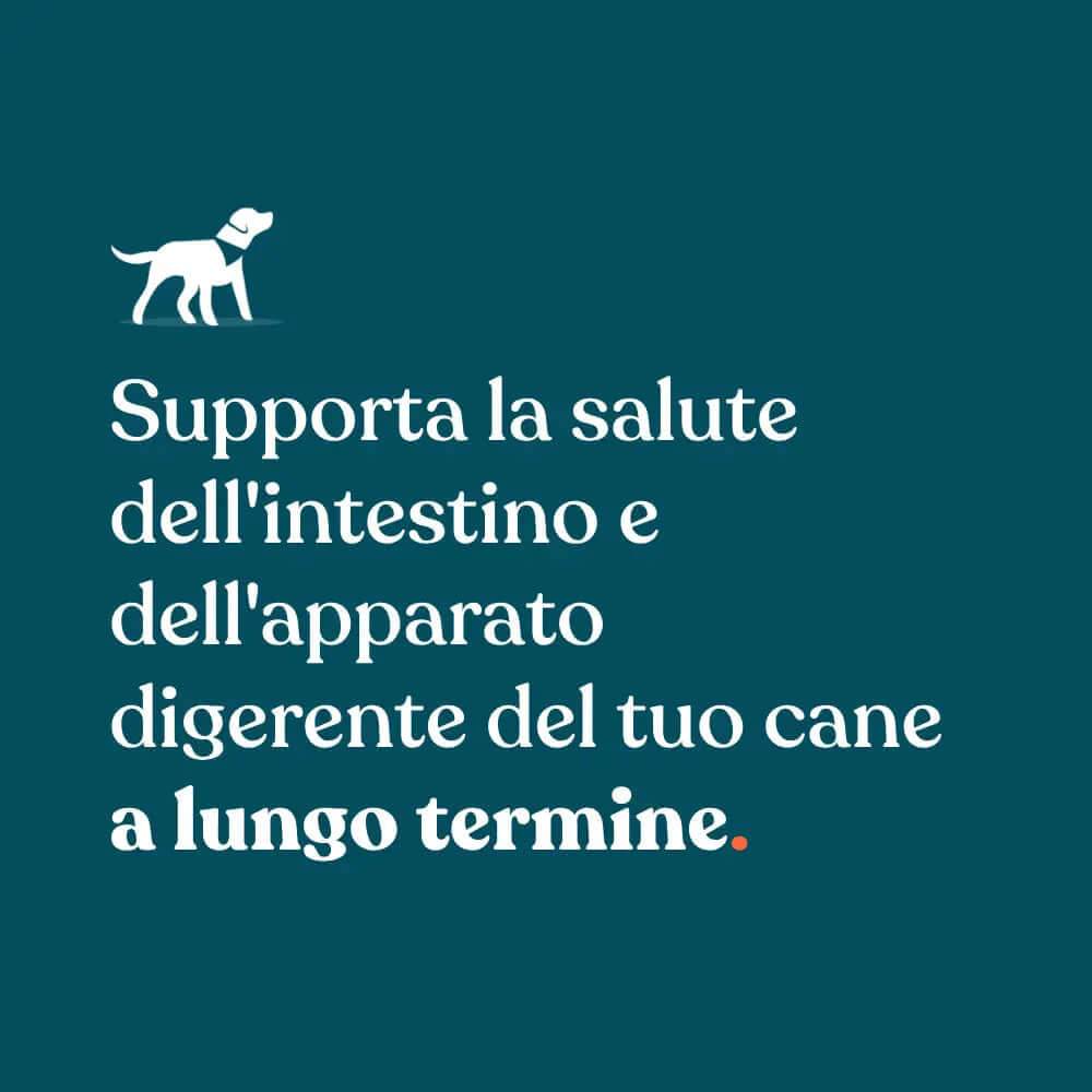 supporta la salute dell'intestino e dell'apparato digerente del tuo cane a lungo termine