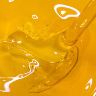 Olio di Borragine e Olio di Enotera