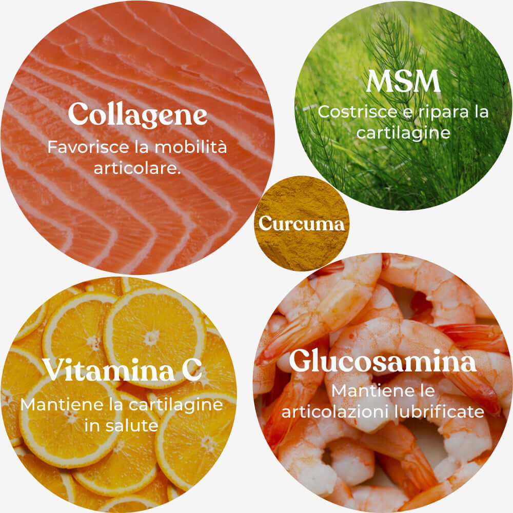 Integropet Ossa & Articolazioni ingredienti