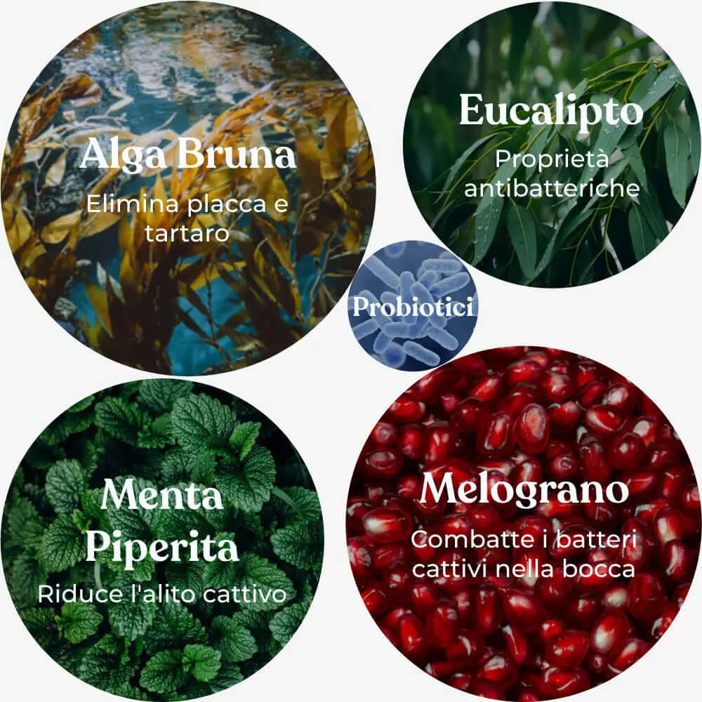 Denti & Gengive IntegroPet ingredienti