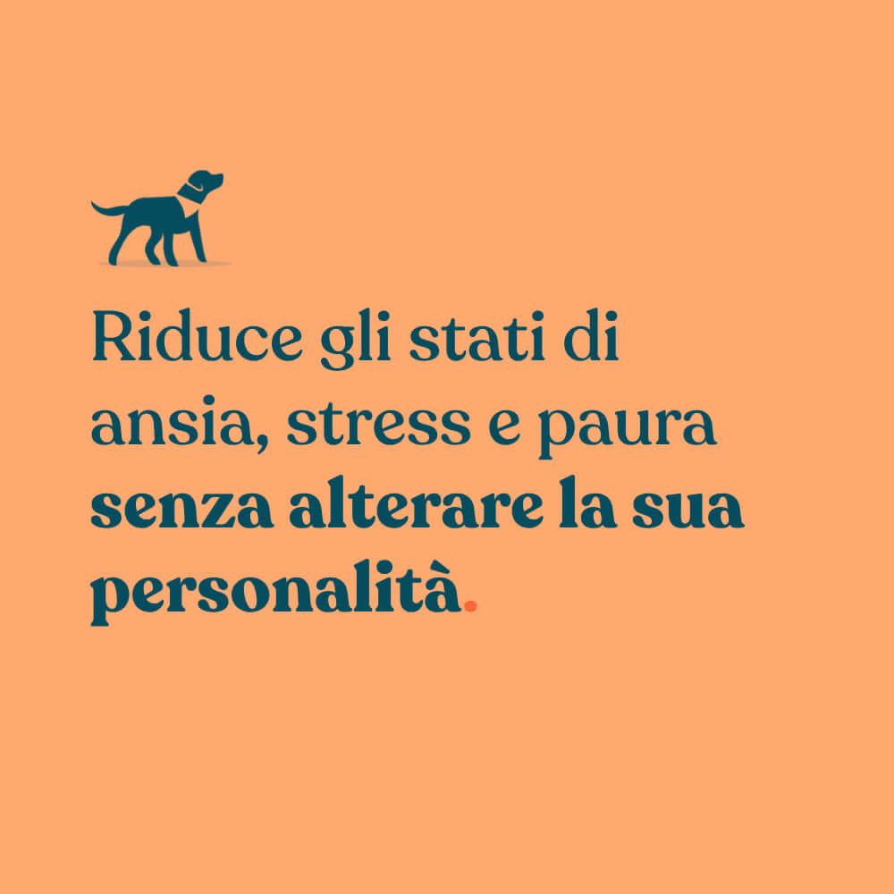 riduce gli stati di ansia, paura e stress
