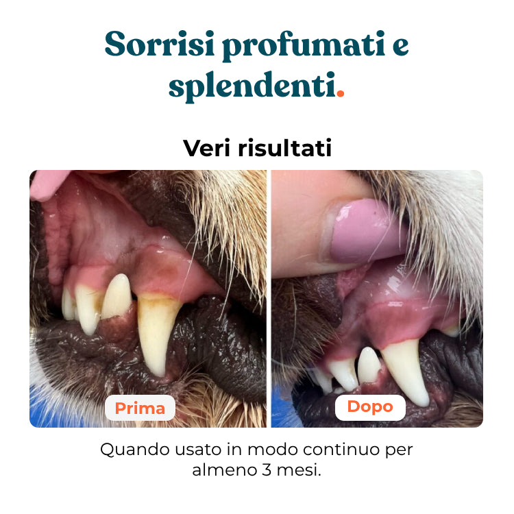 Kit Salute Dentale Avanzata