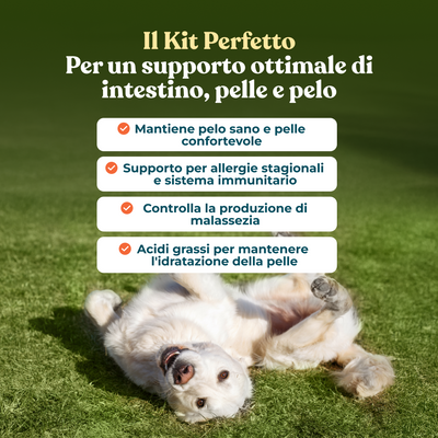 Kit Zero-Prurito