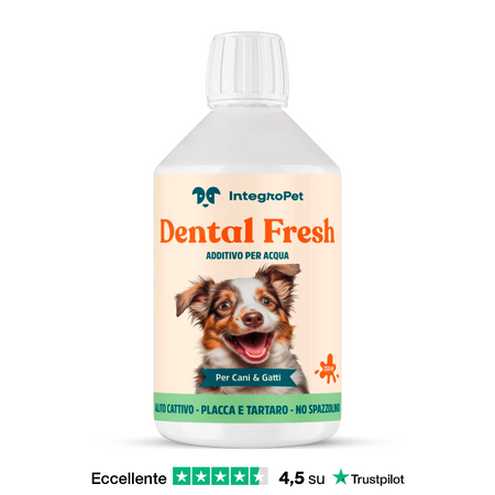 Riunito odontoiatrico veterinario - Compact™ i5 - Planmeca - compatto